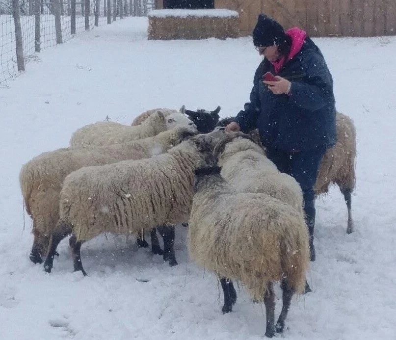 Special Bonds: Christine and all the sheep! 