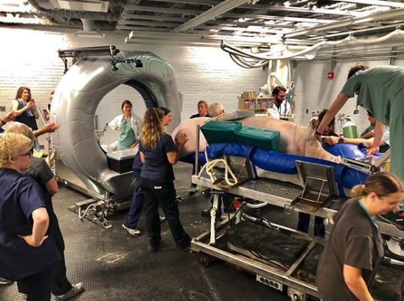 The Esther Scanner has been very busy!