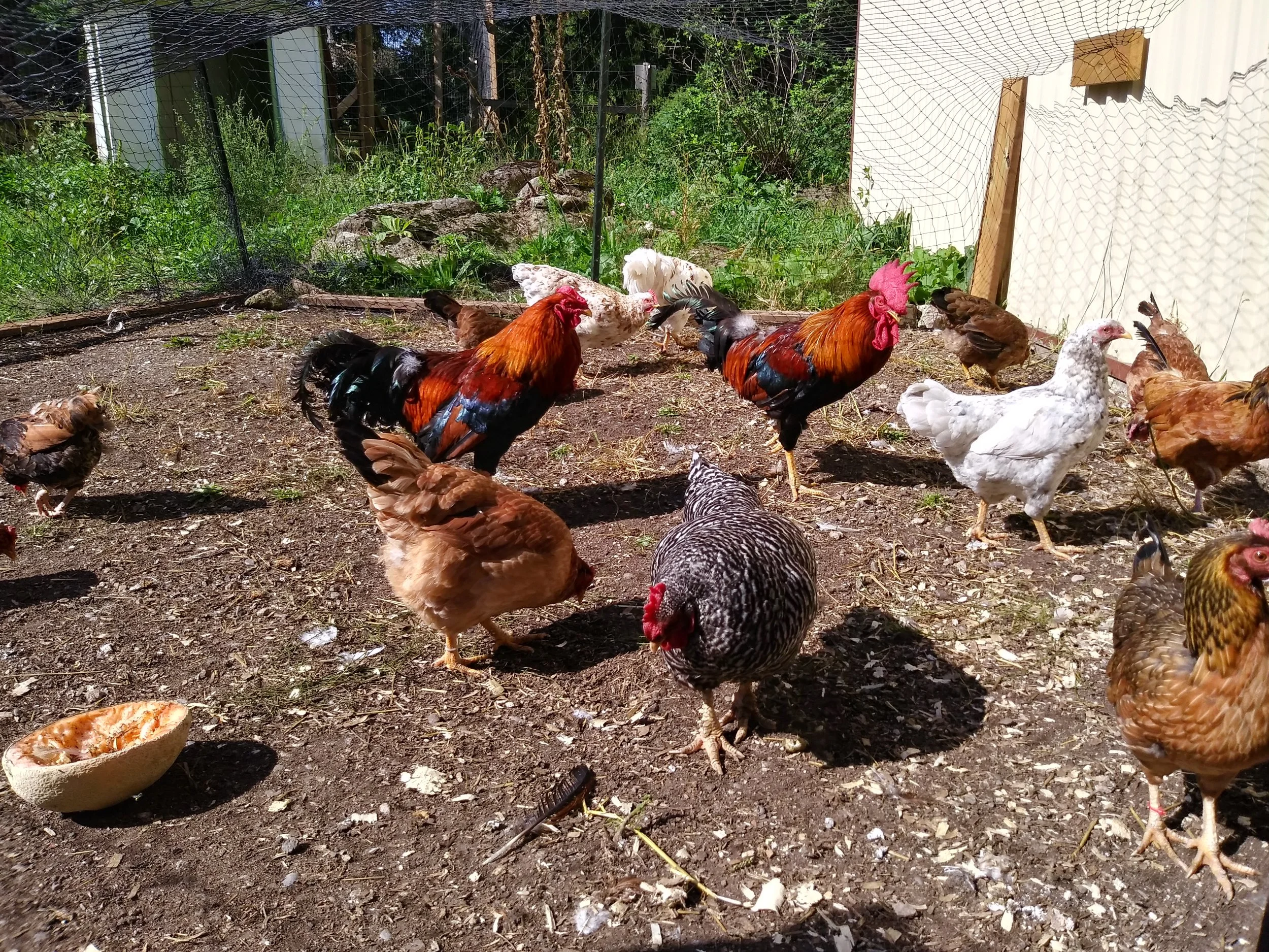 New arrivals at HEEFS