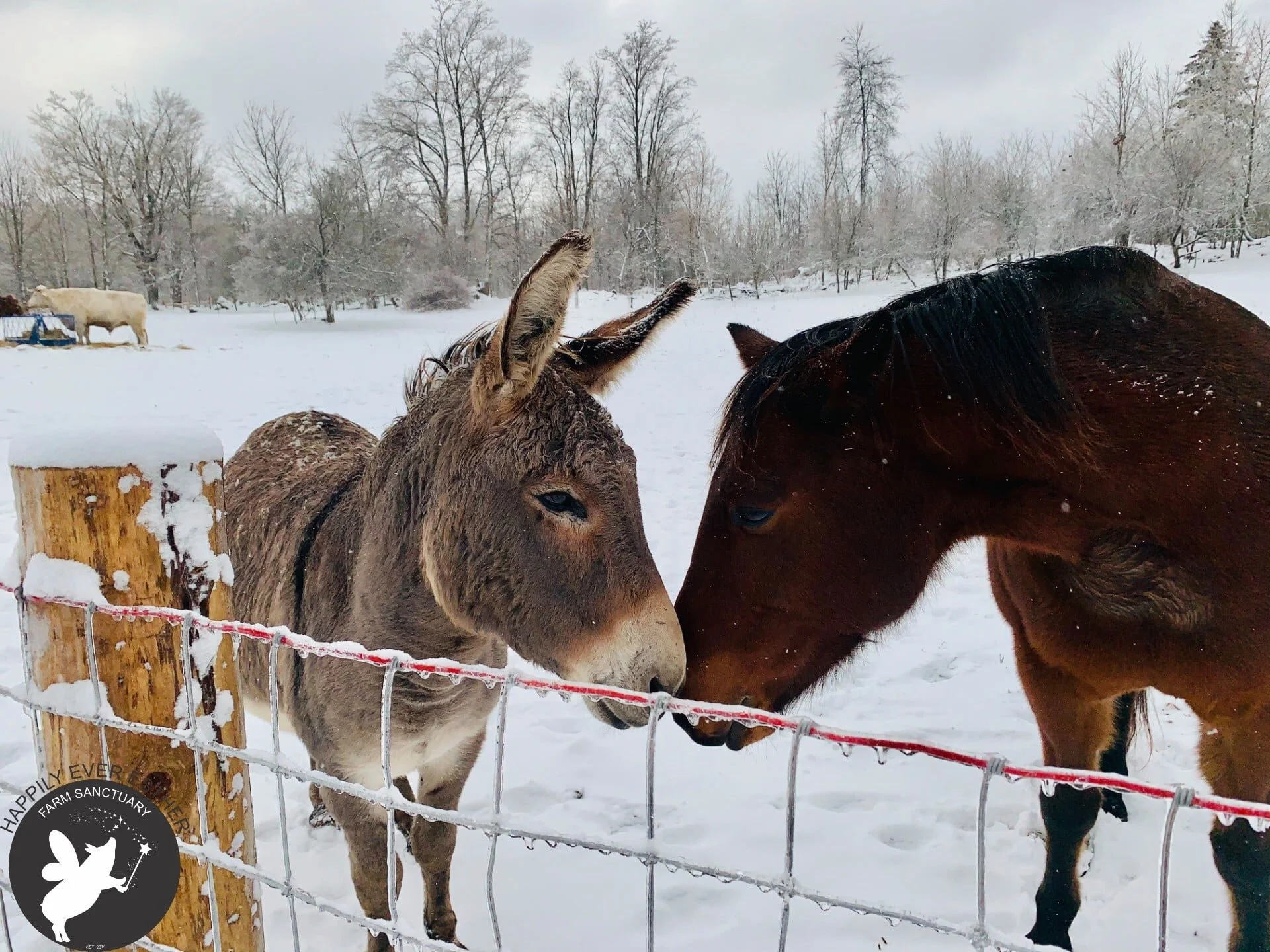 BFFs at HEEFS