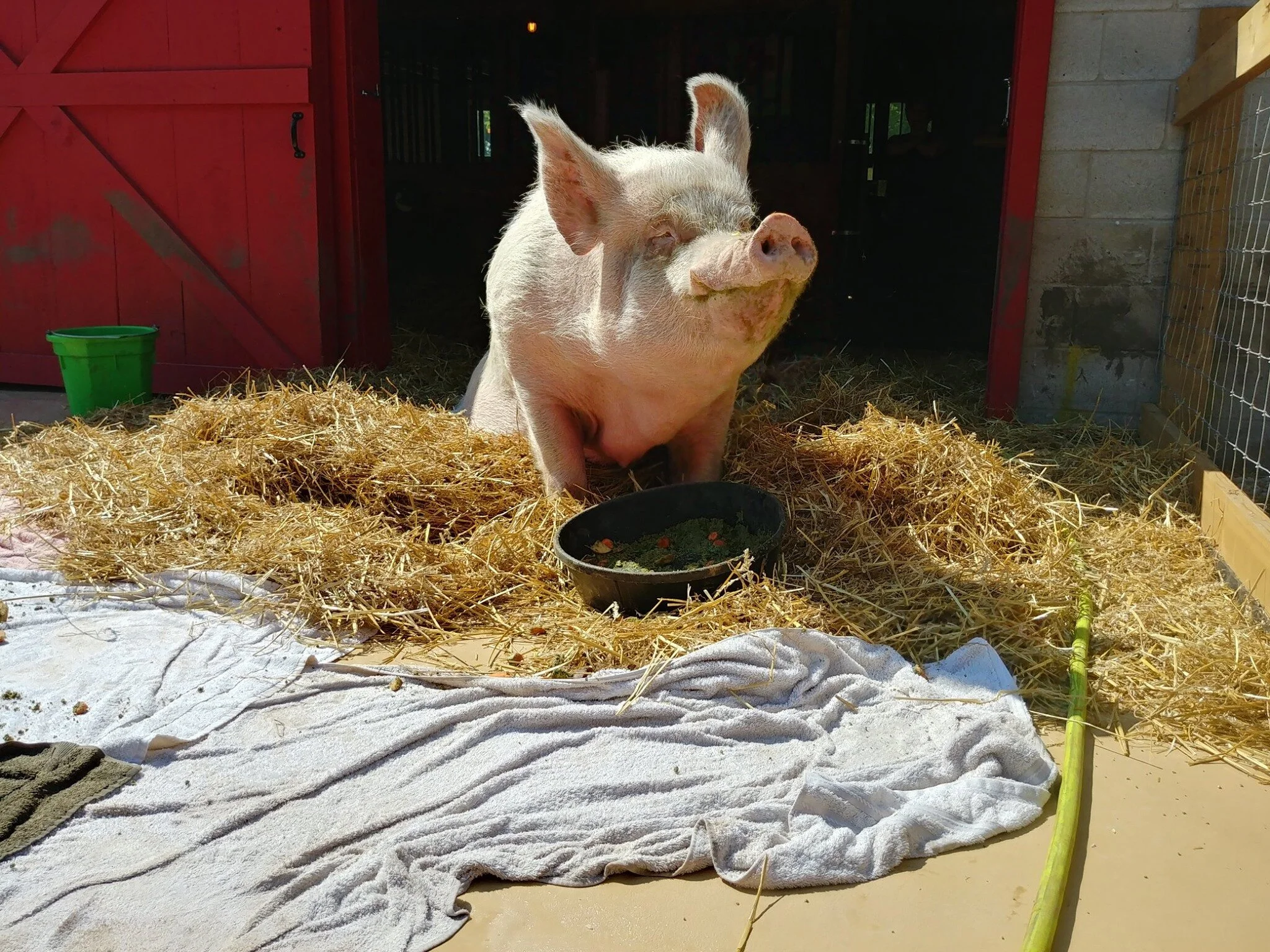 Remembering Leonard 2011-2019