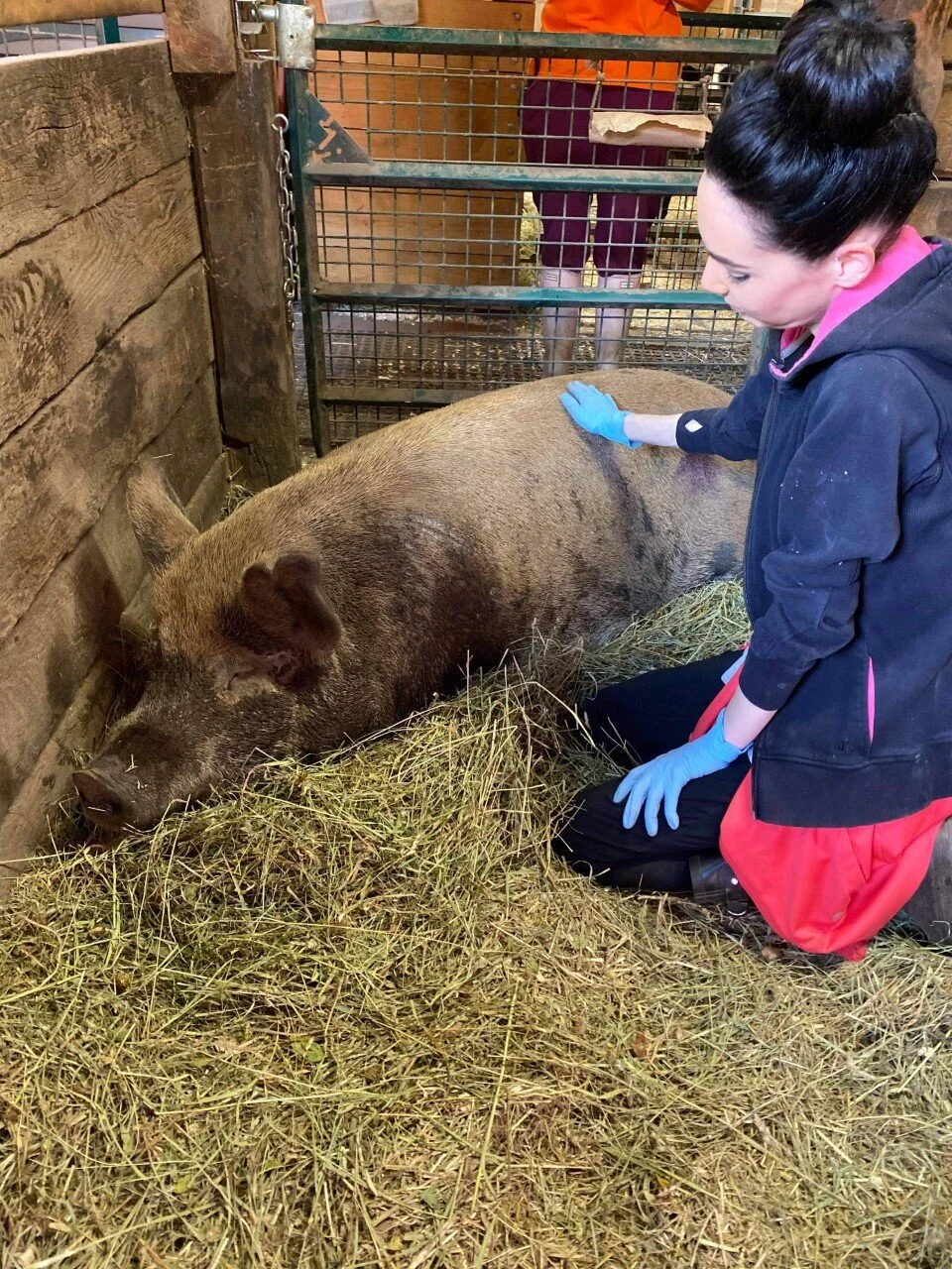 Special Bond - Jessica and Alexandra-Pumpkin