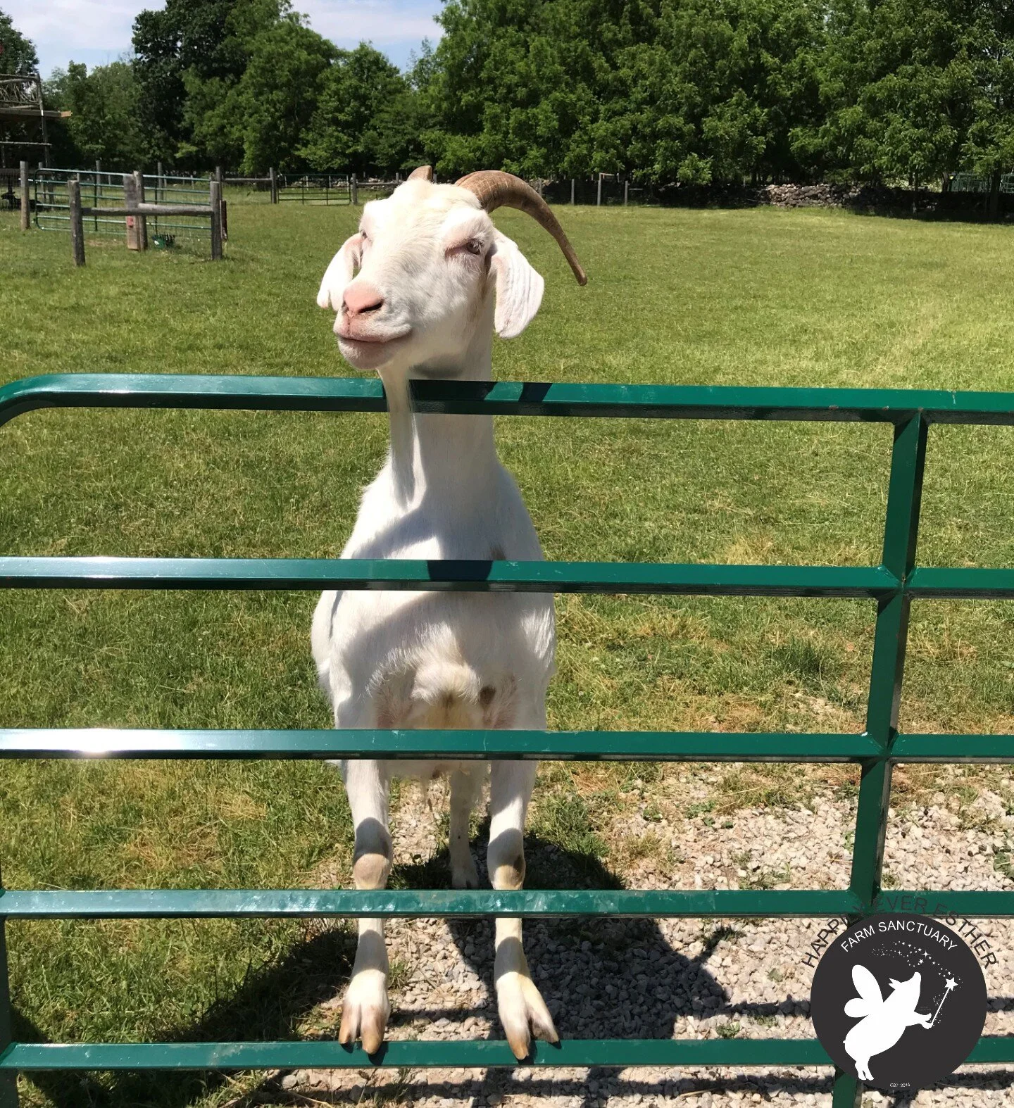 Getting to know Diablo by Andrea White, Supervisor Animal Care