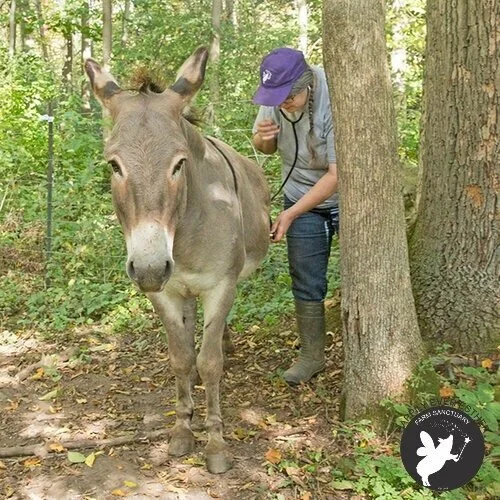 Recognizing and managing pain in our residents - Andrea White, Supervisor Animal Care