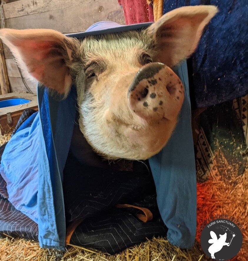Warming up to Winter at HEEFS