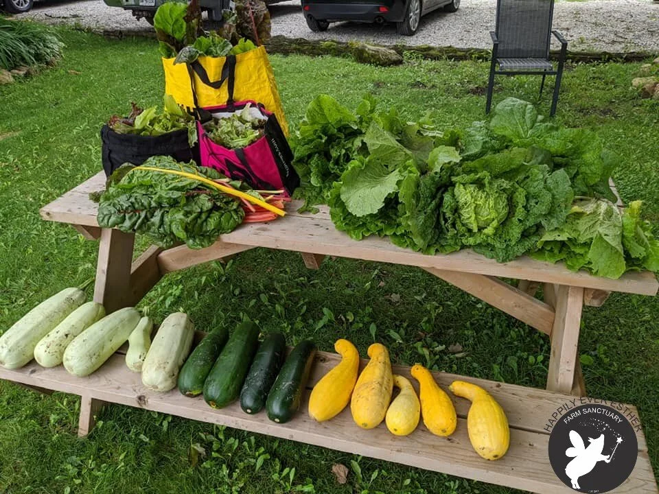 An exciting year for the gardens of HEEFS