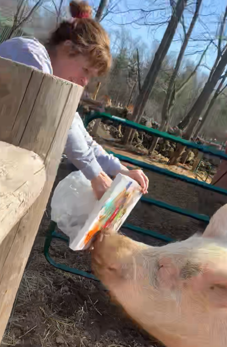 A little TLE for Residents and Volunteers at HEEFS