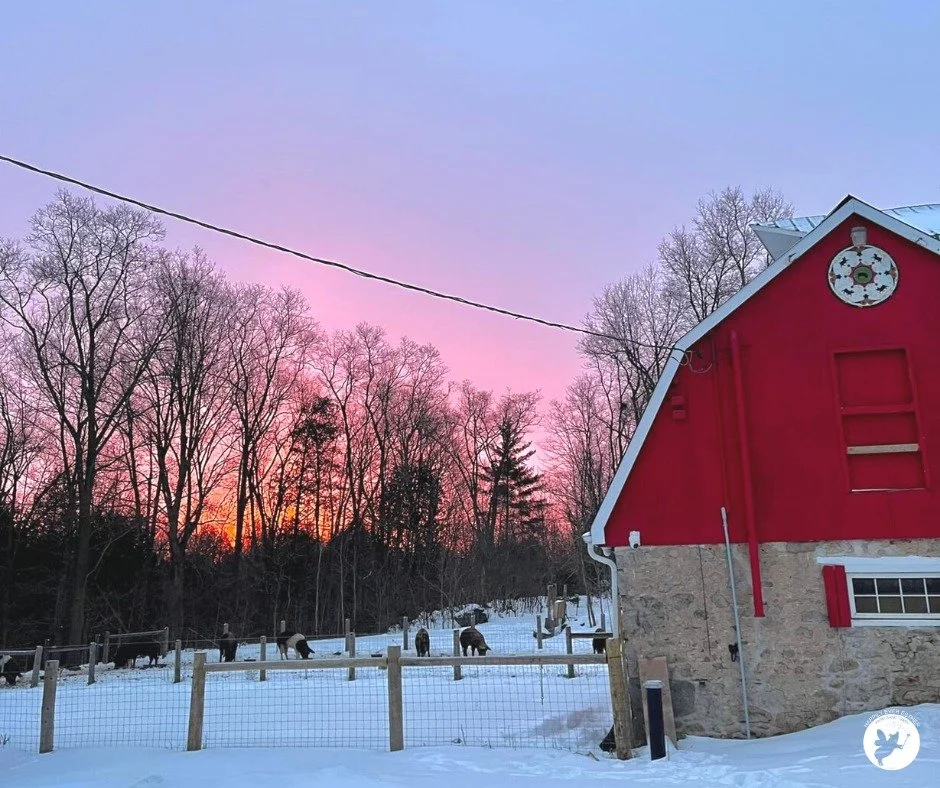 Three Ways the Global Pandemic Continues to Affect HEEFS&nbsp;