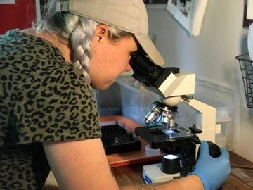 Managing the Creepy Crawlies! 