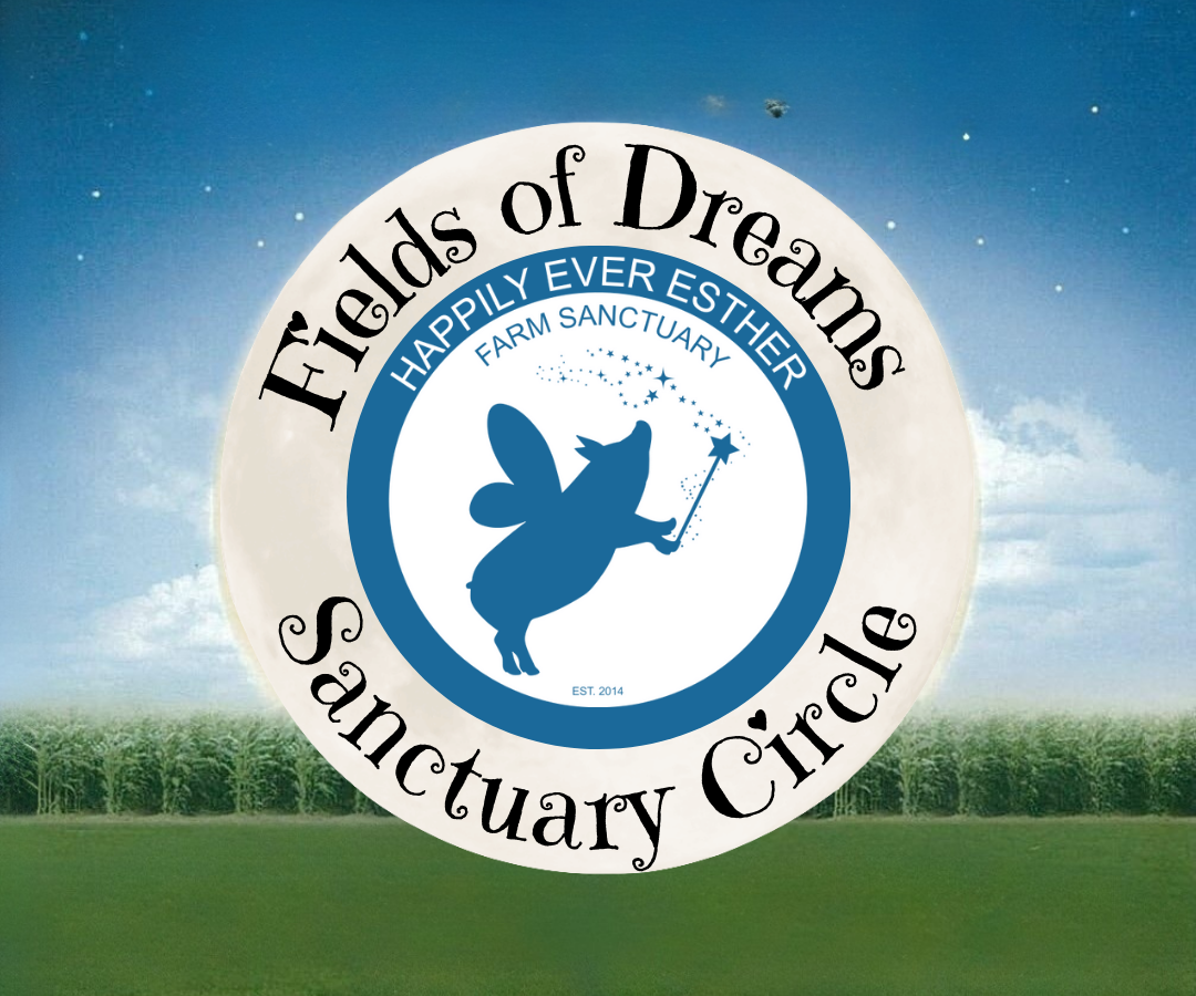 Sanctuary Circle - sample  (1).png