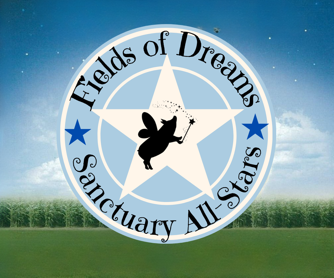 Copy of Sanctuary All-Stars - sample .png