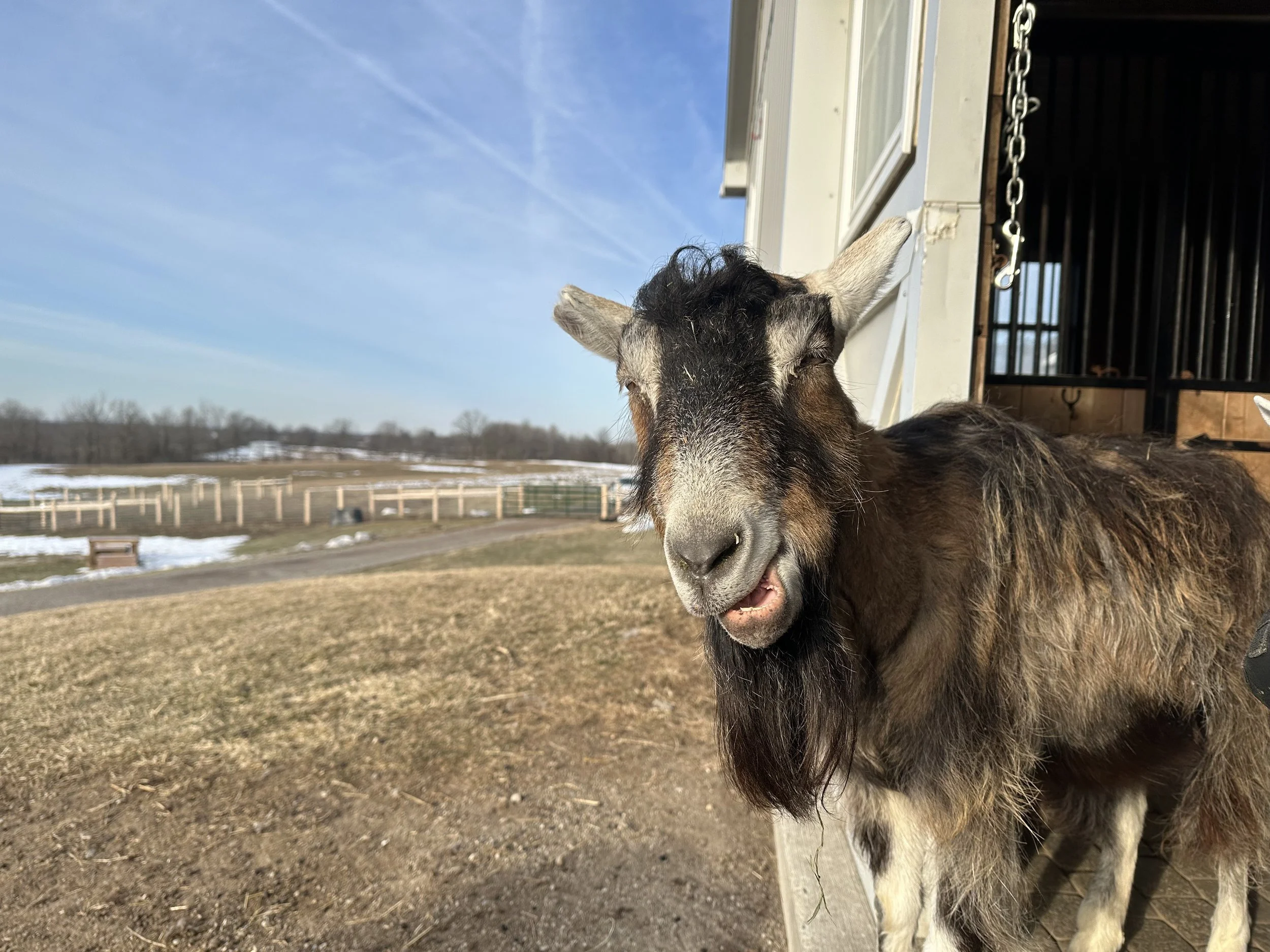 SPRING CHALLENGES AT THE SANCTUARY  