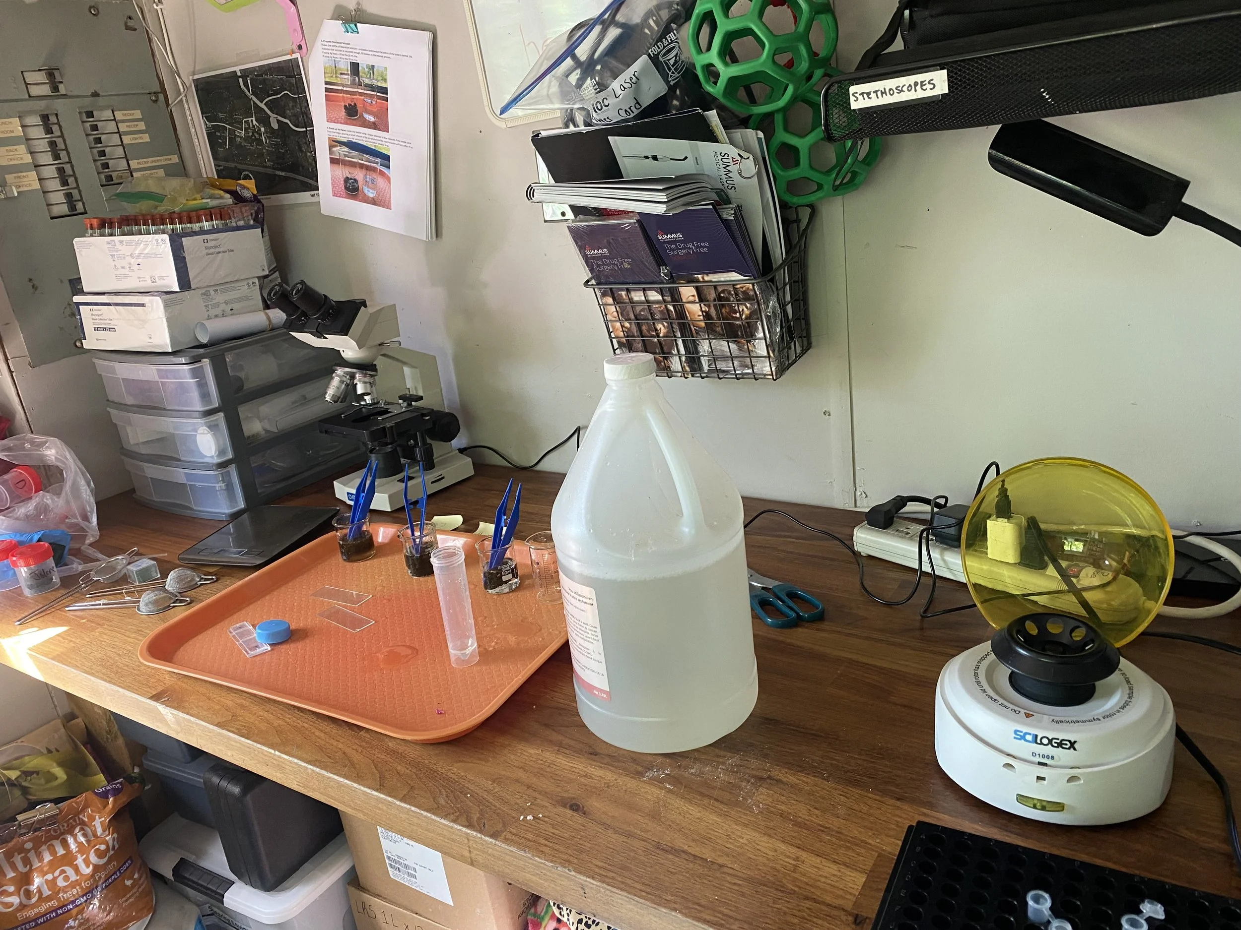 PARASITE PREVENTION AND TREATMENT IN SMALL RUMINANTS 