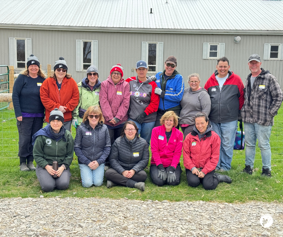 THE POWER OF VOLUNTERING AT HEEFS
