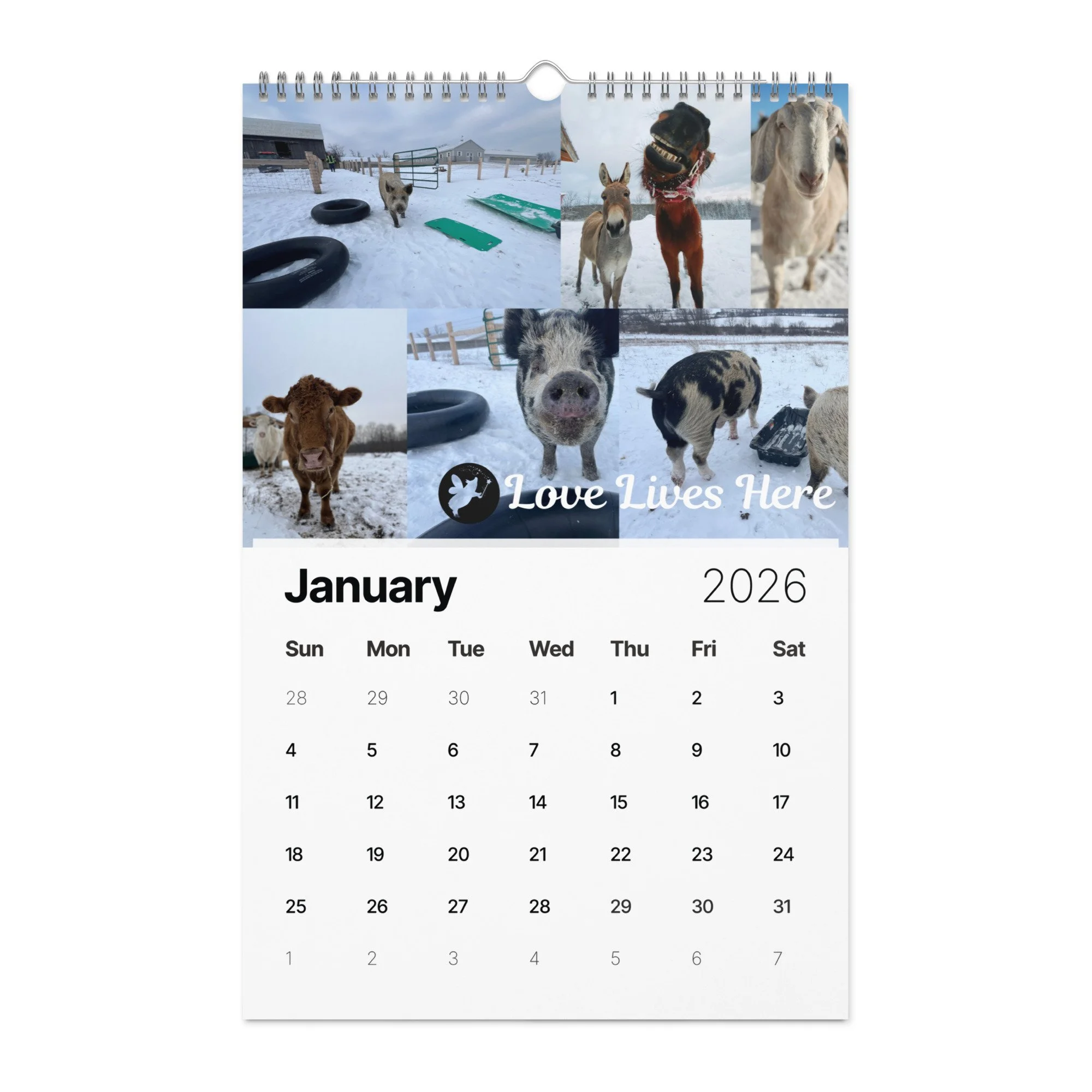 wall-calendar-(2026)-start-w-sun-11x17-front-690ae297ee25c.jpg