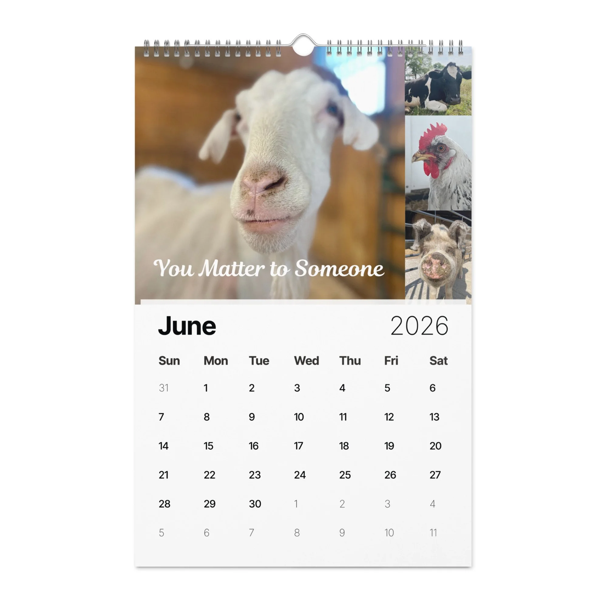 wall-calendar-(2026)-start-w-sun-11x17-front-690ae297ee7a6.jpg