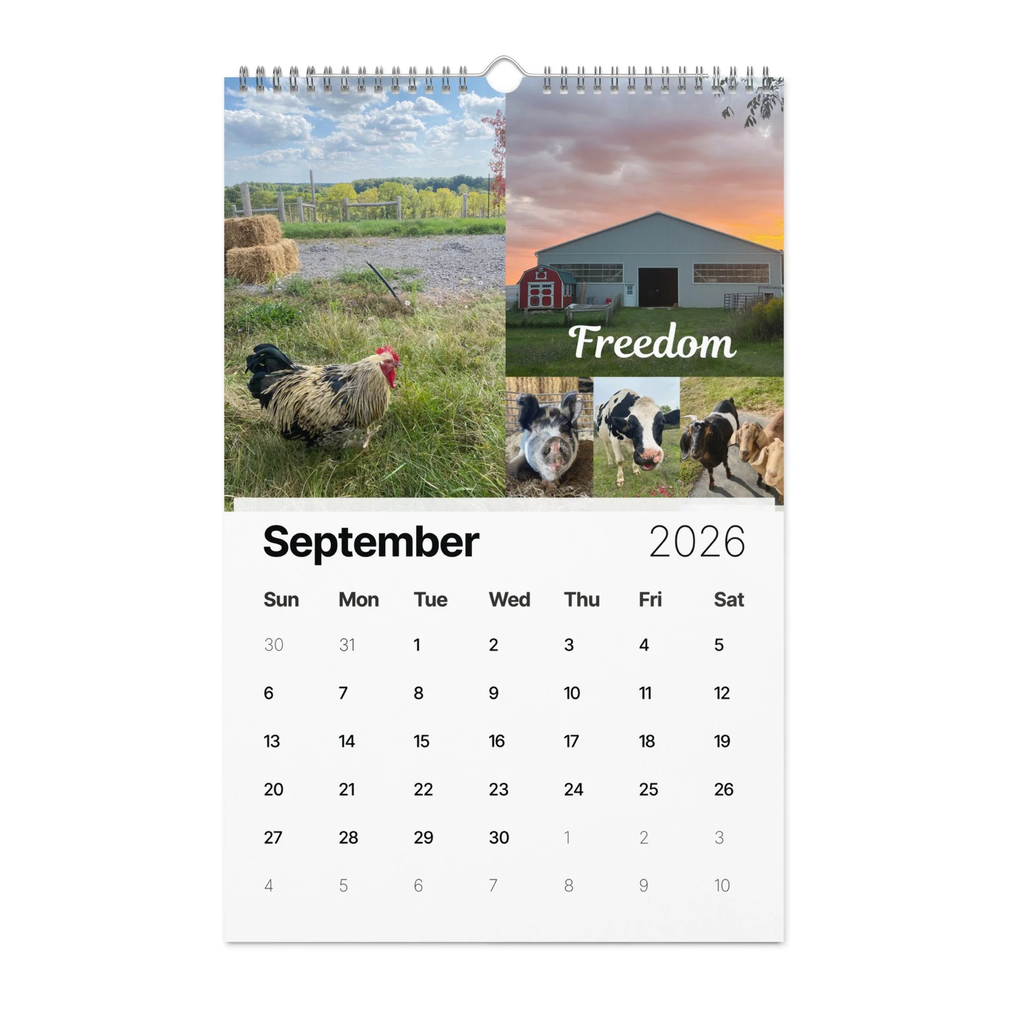 wall-calendar-(2026)-start-w-sun-11x17-front-690ae297eeaa7.jpg