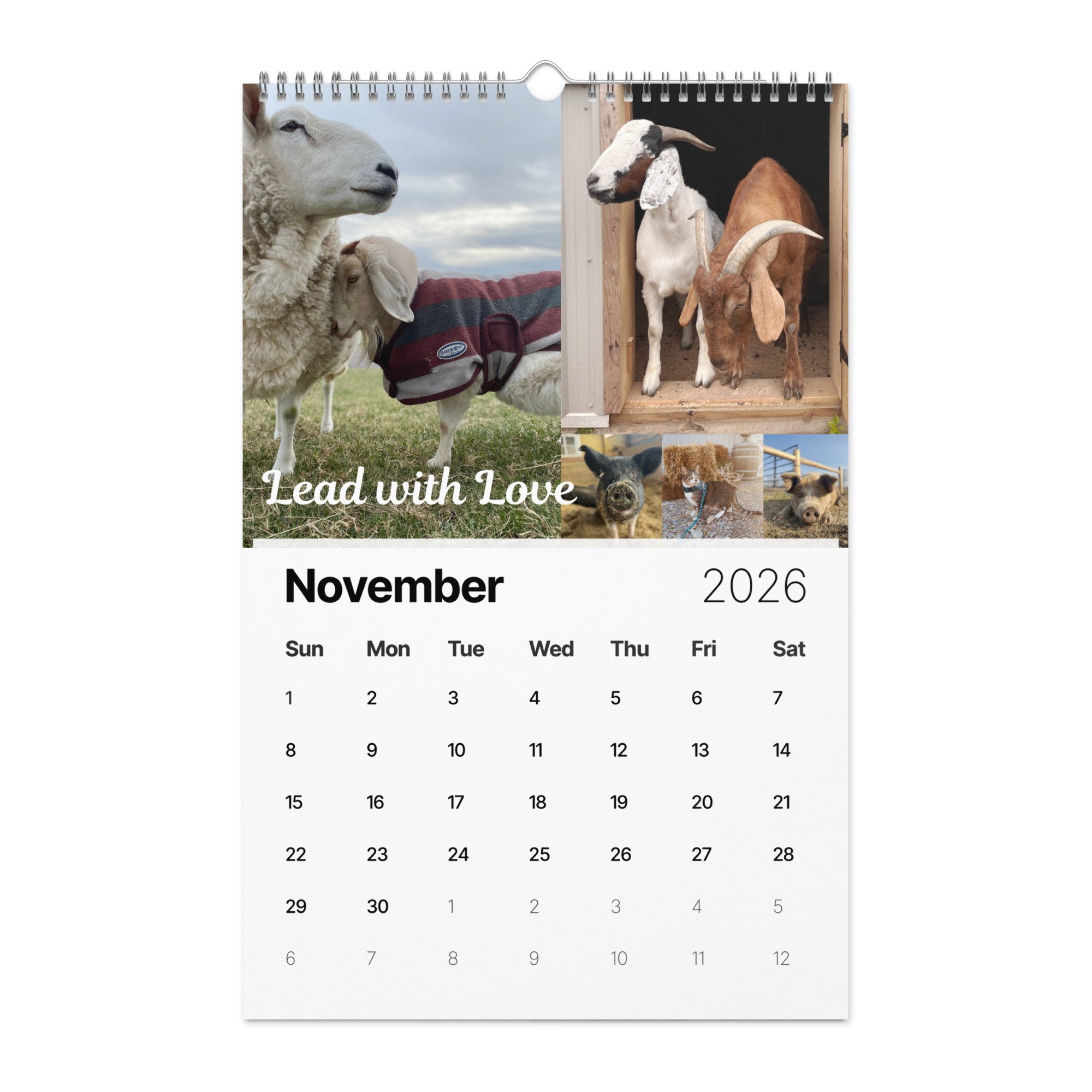 wall-calendar-(2026)-start-w-sun-11x17-front-690ae297eeccd.jpg