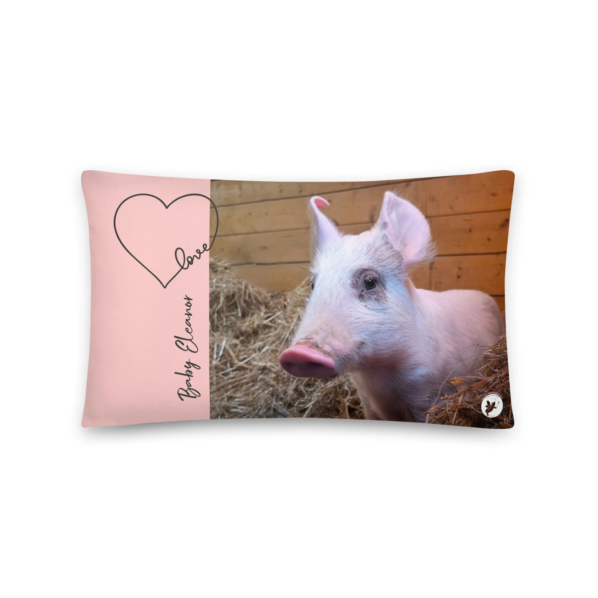 all-over-print-basic-pillow-20x12-front-69779cb77df2a.jpg