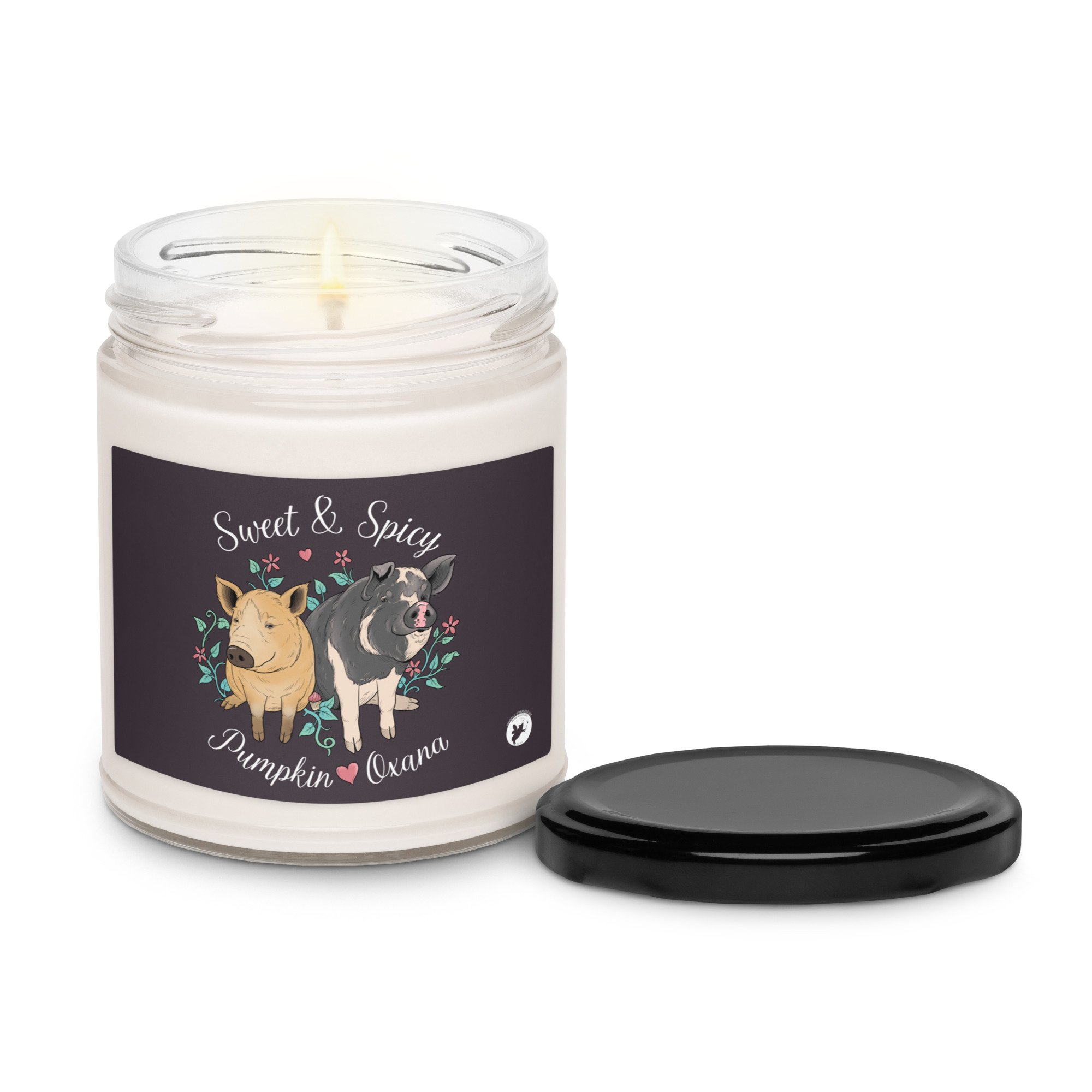 scented-soy-candle,-9oz-cinnamon-vanilla-front-69779f28b9892.jpg