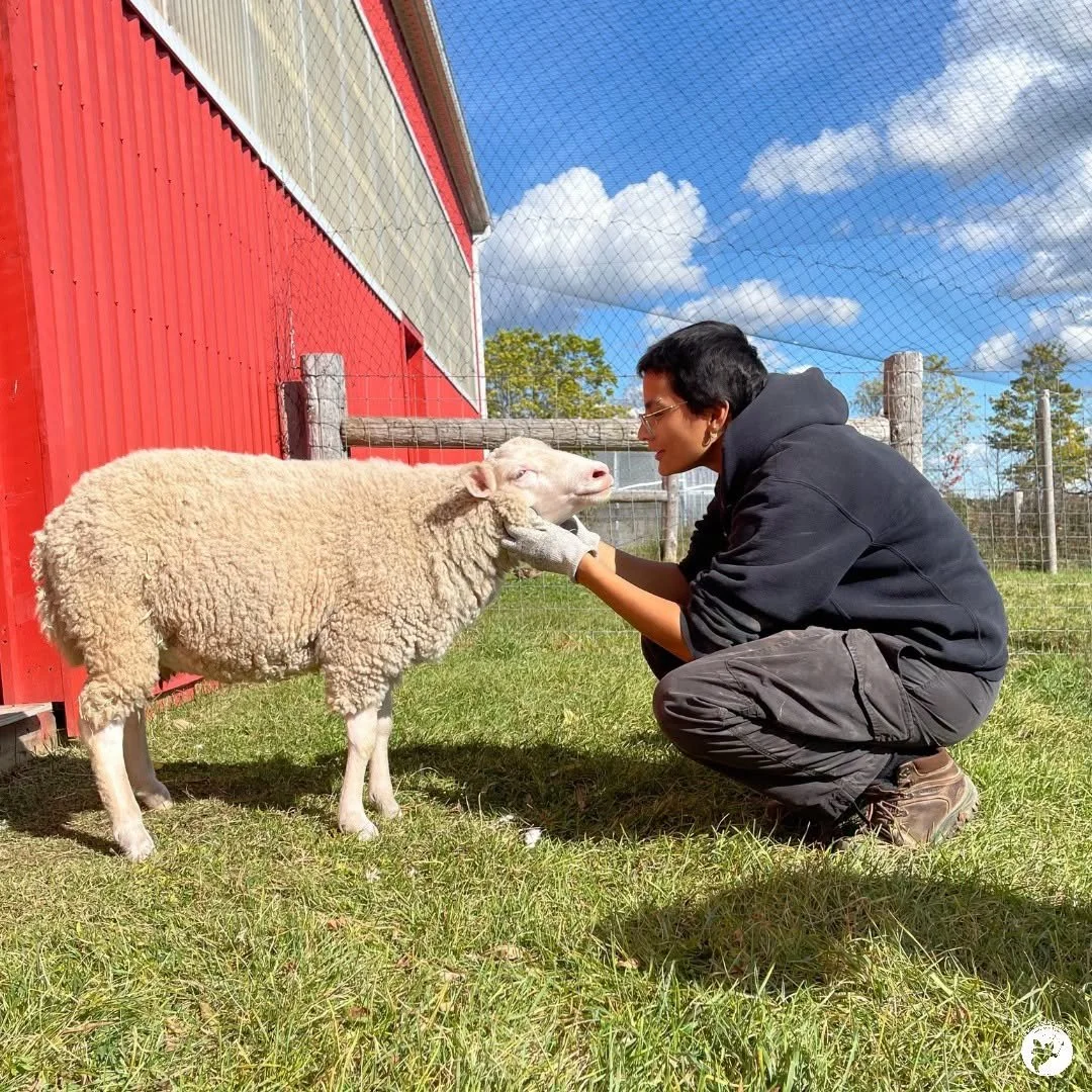 Andy Luis-Gaudet - Sanctuary Caretaker