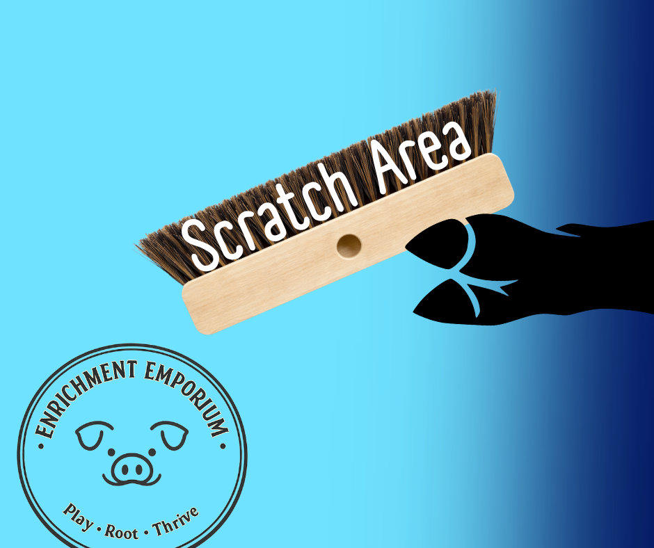 Enrichment Emporium (2).png