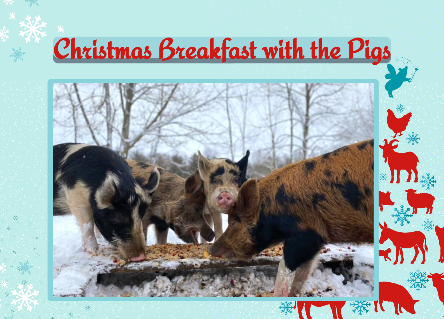 HMF 2025 - Virtual Event - Christmas Breakfast.png