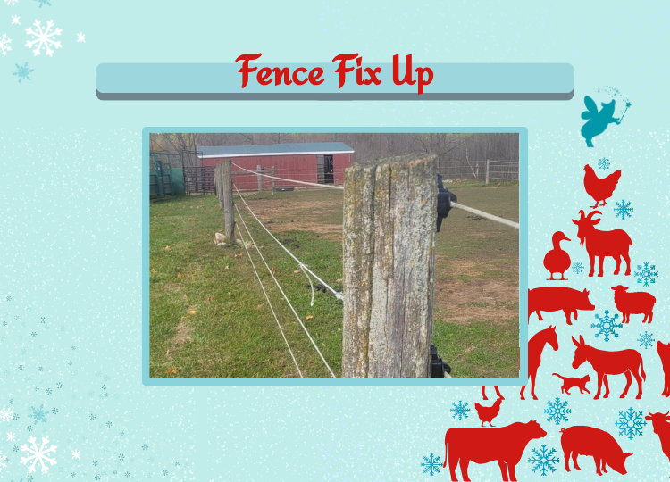 Copy of HMF 2025 - Fence Fix Up.png