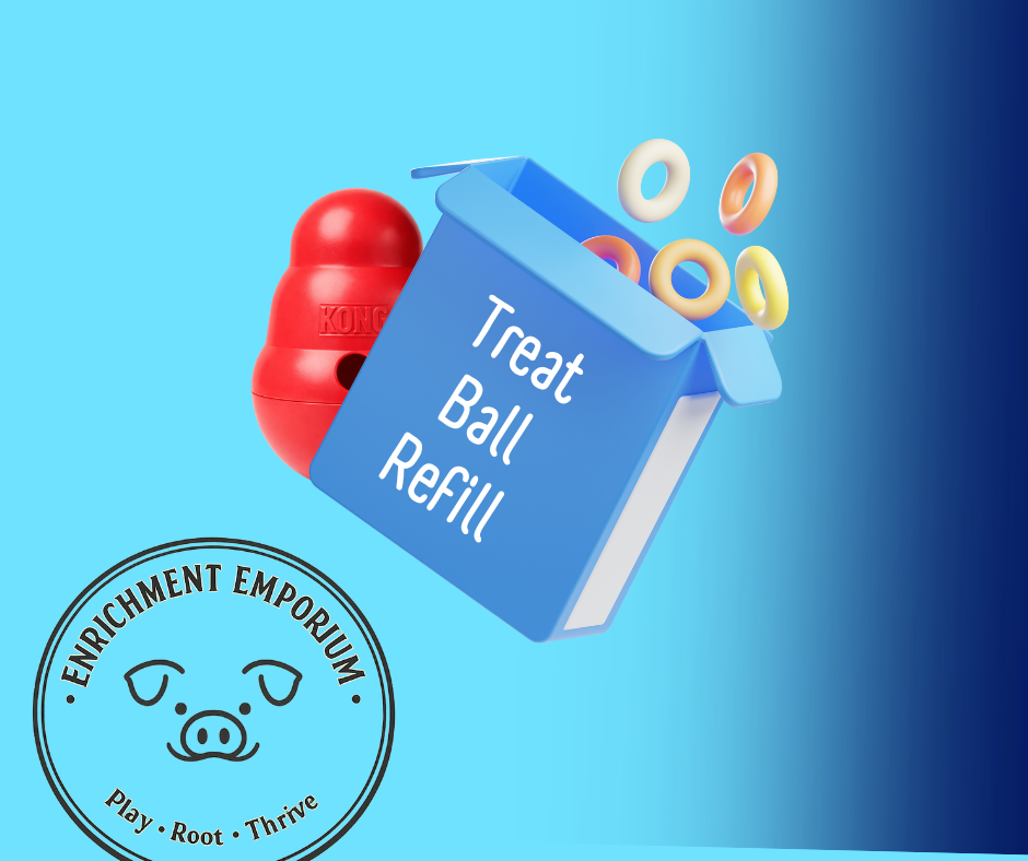 Enrichment Emporium.png