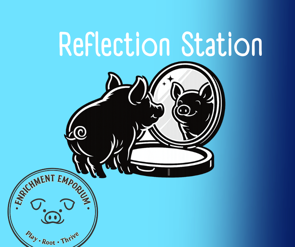 Enrichment Emporium (5).png