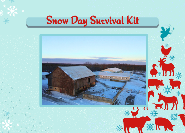 HMF 2025 - Store - Snow Day Survival Kit.png