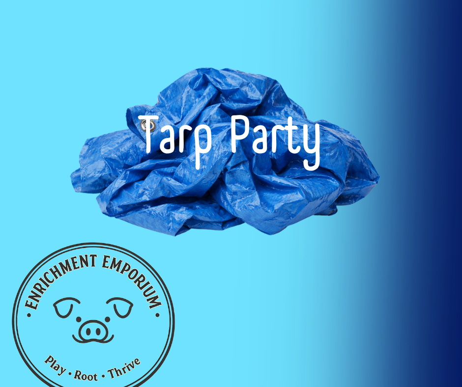 Enrichment Emporium (4).png