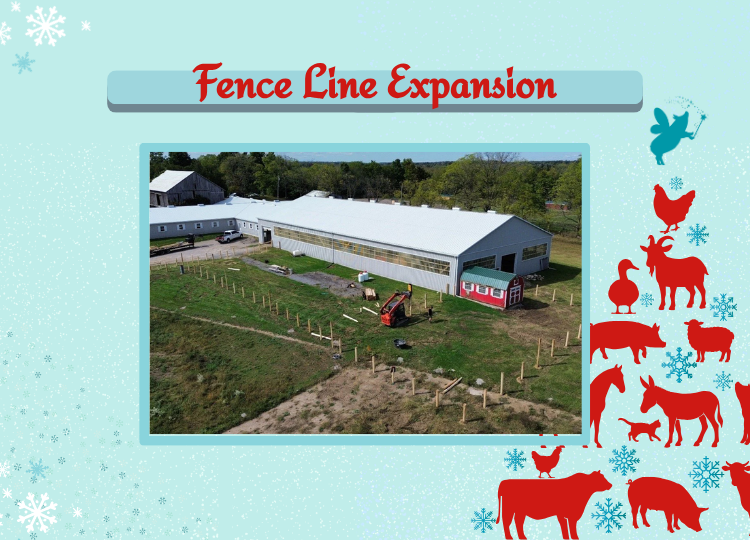 HMF 2025 - Store - Fence Line Expansion.png
