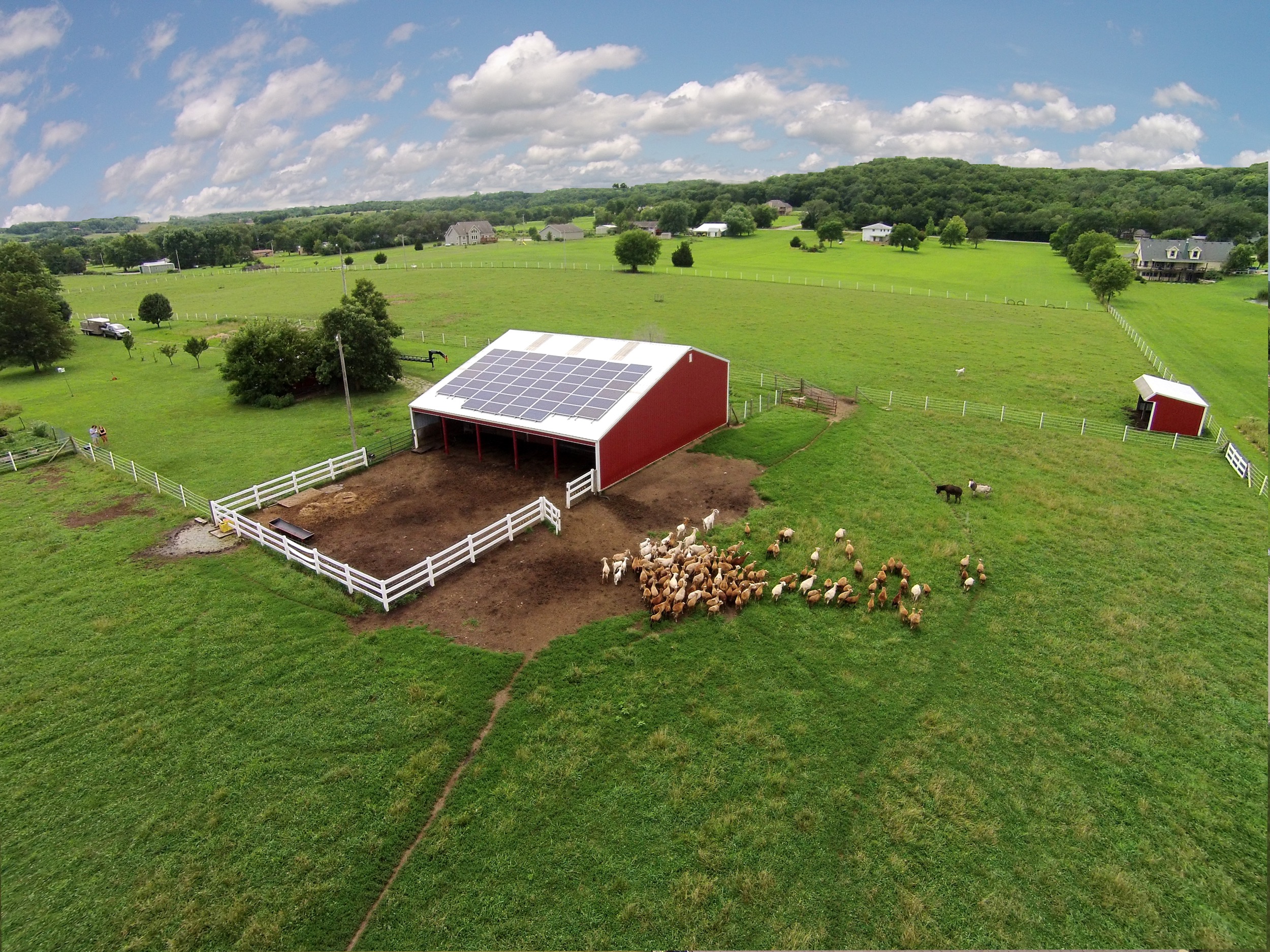 Solar array on an open-sided sheep barn © 2015 Cromwell Environmental