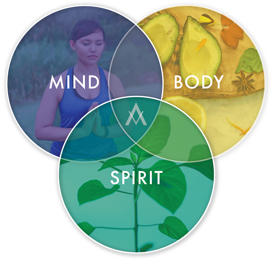 HolisticSkinVenn2.png