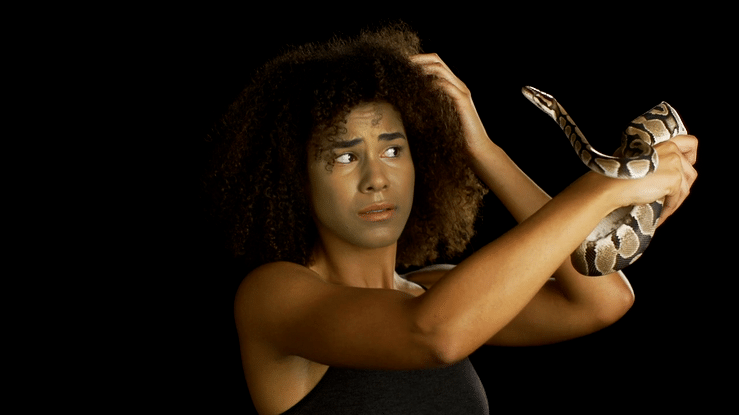 The Foundation Trap-high.gif