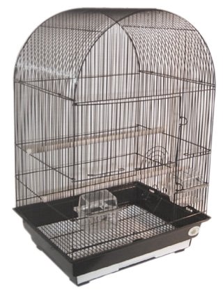 bird cage.jpg