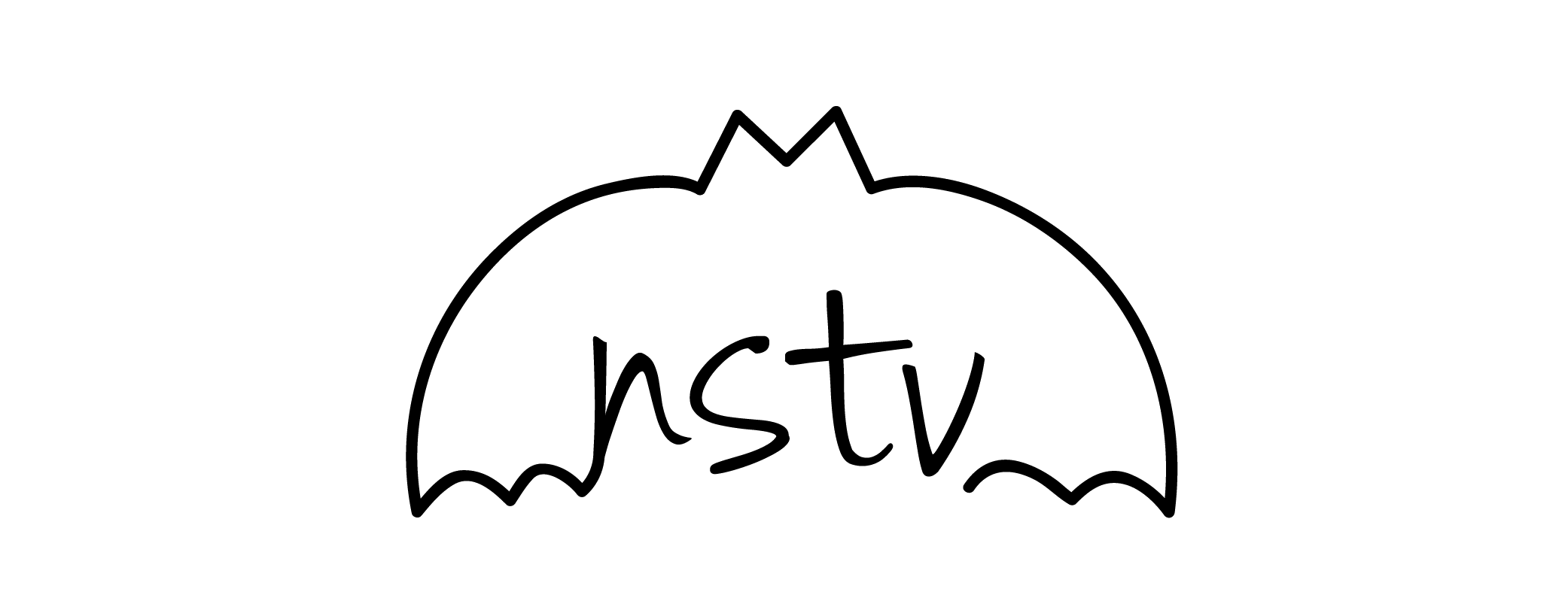 NSTV_LOGO_transp.png
