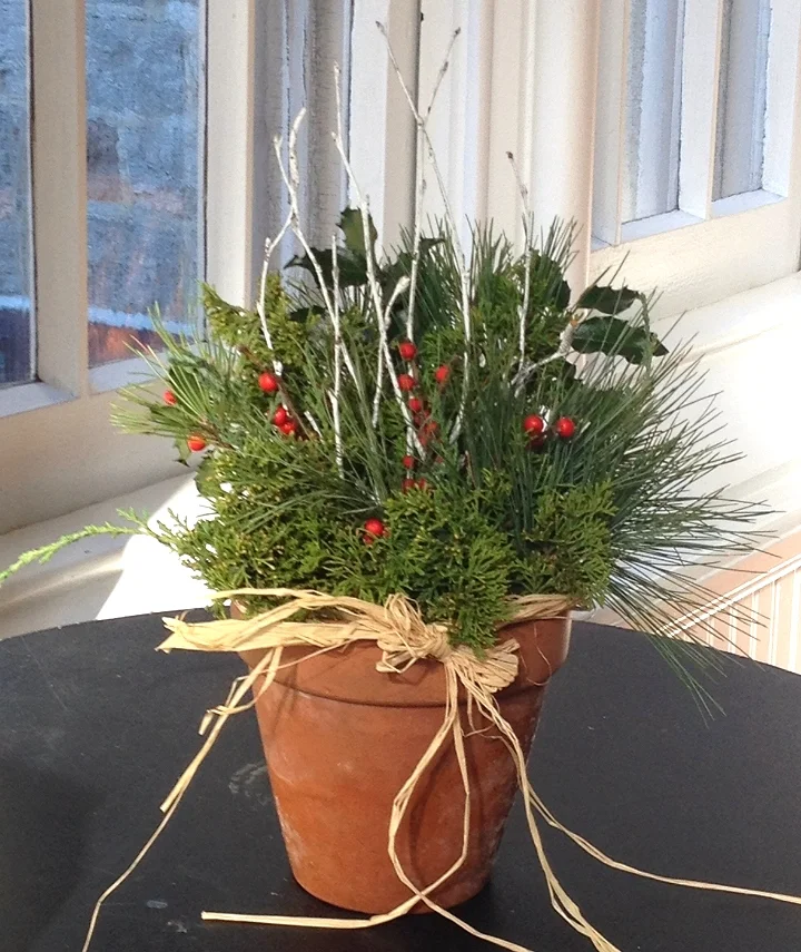 11_20_2015_RWAV_photo 16.JPG