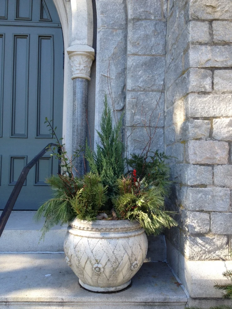 11_20_2015_RWAV_photo 56.JPG