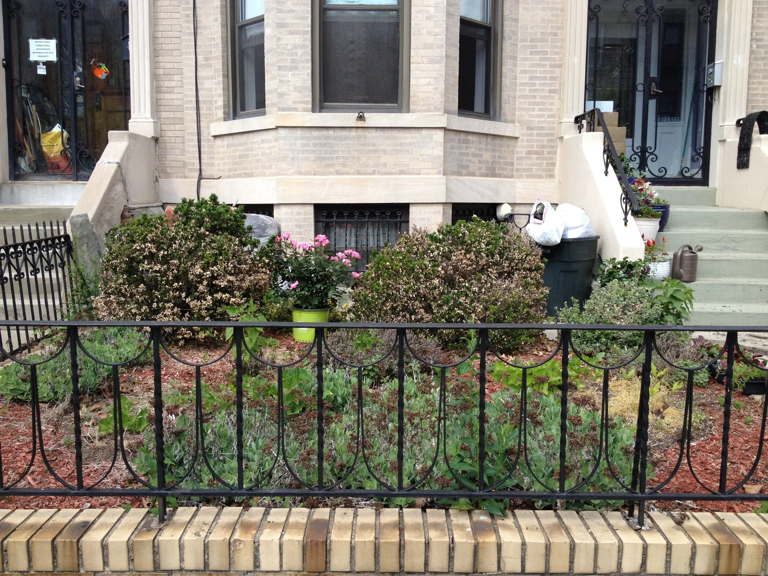 5_31_2015_Pavs_photo 12.JPG