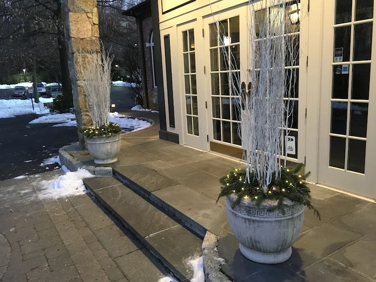 winterpots_0579.JPG