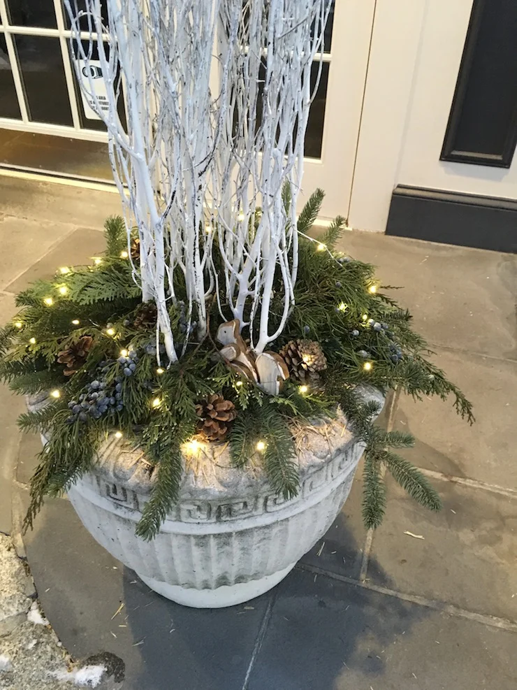 winterpots_0571.JPG