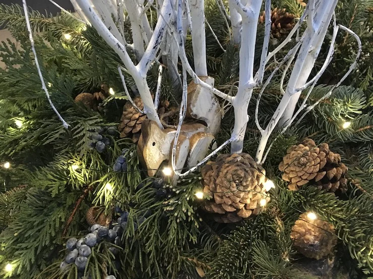 winterpots_0585.JPG