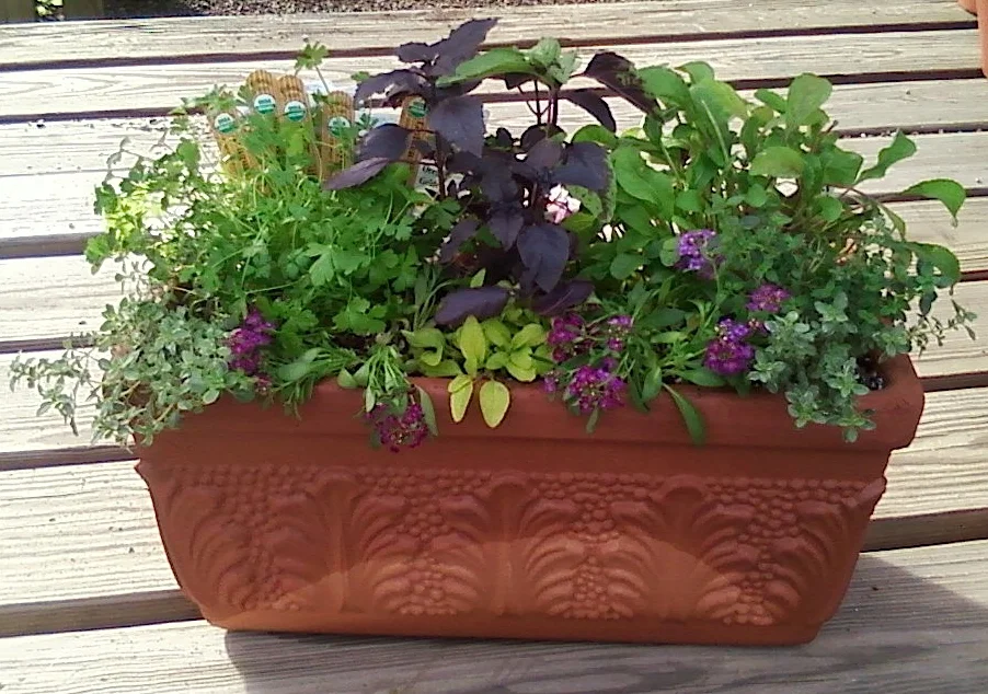 terracottaherbcontainer.jpg