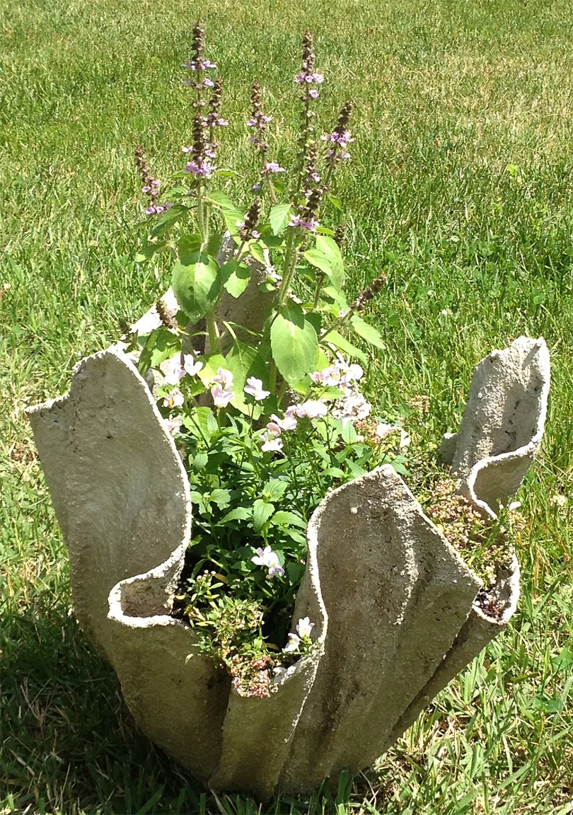 cementpot.jpg