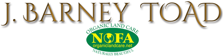 J. Barney Toad