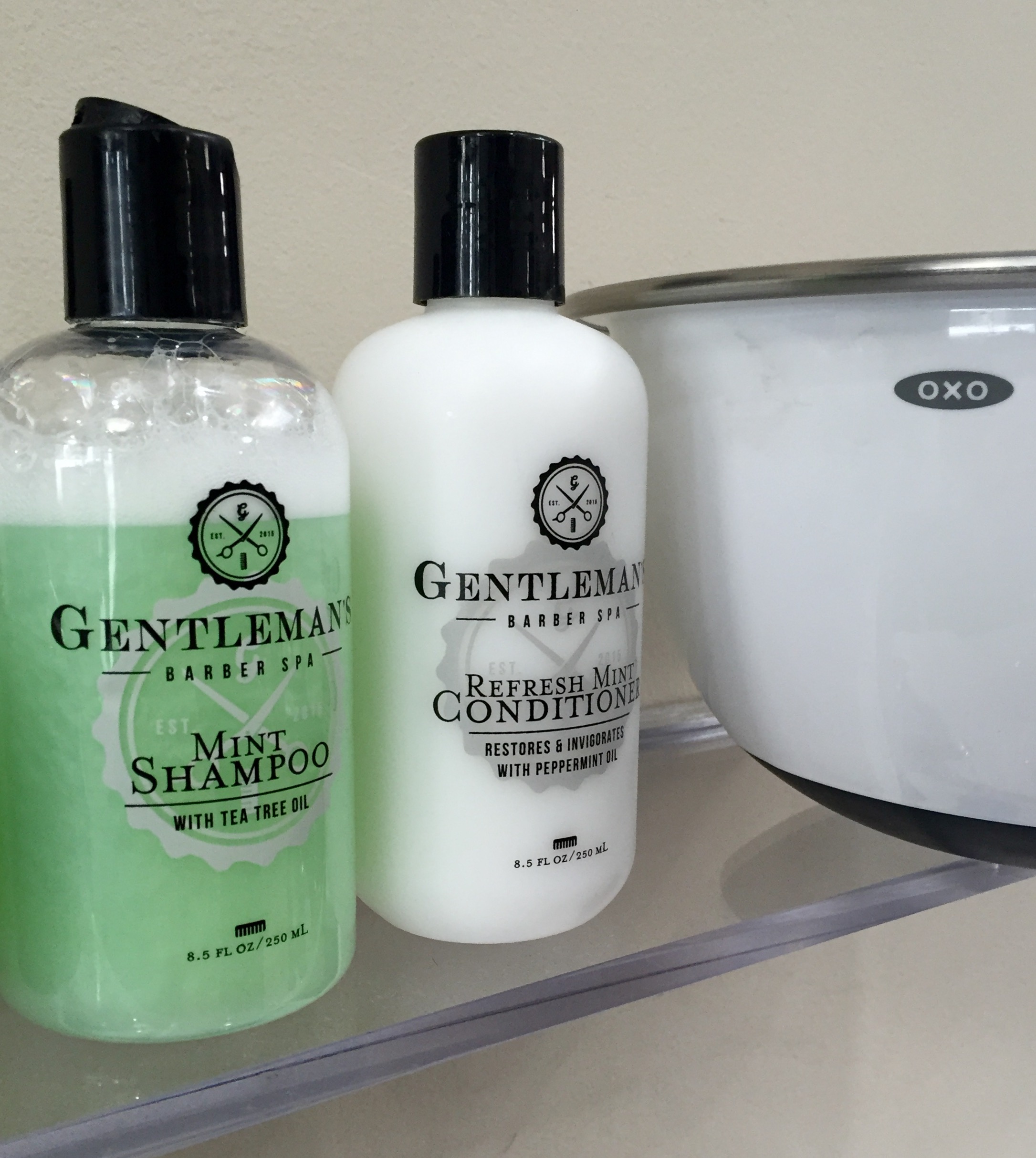 Mint Shampoo and Conditioner 