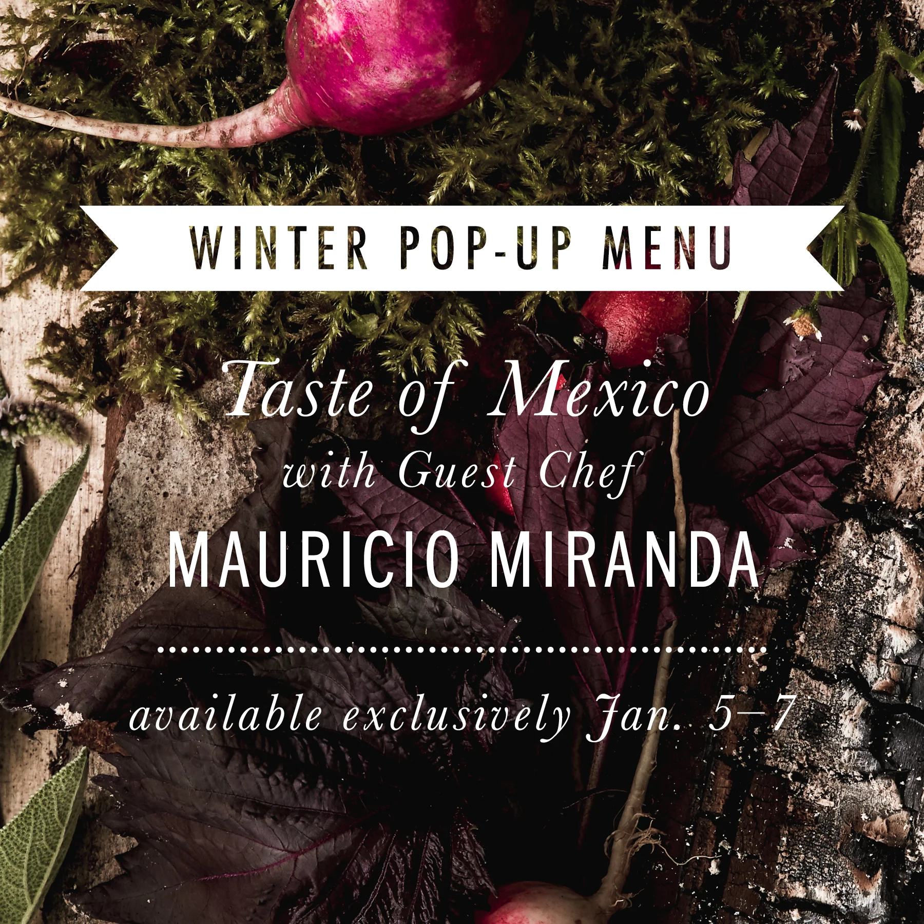 Winter_PopUp_ad_1a.jpg