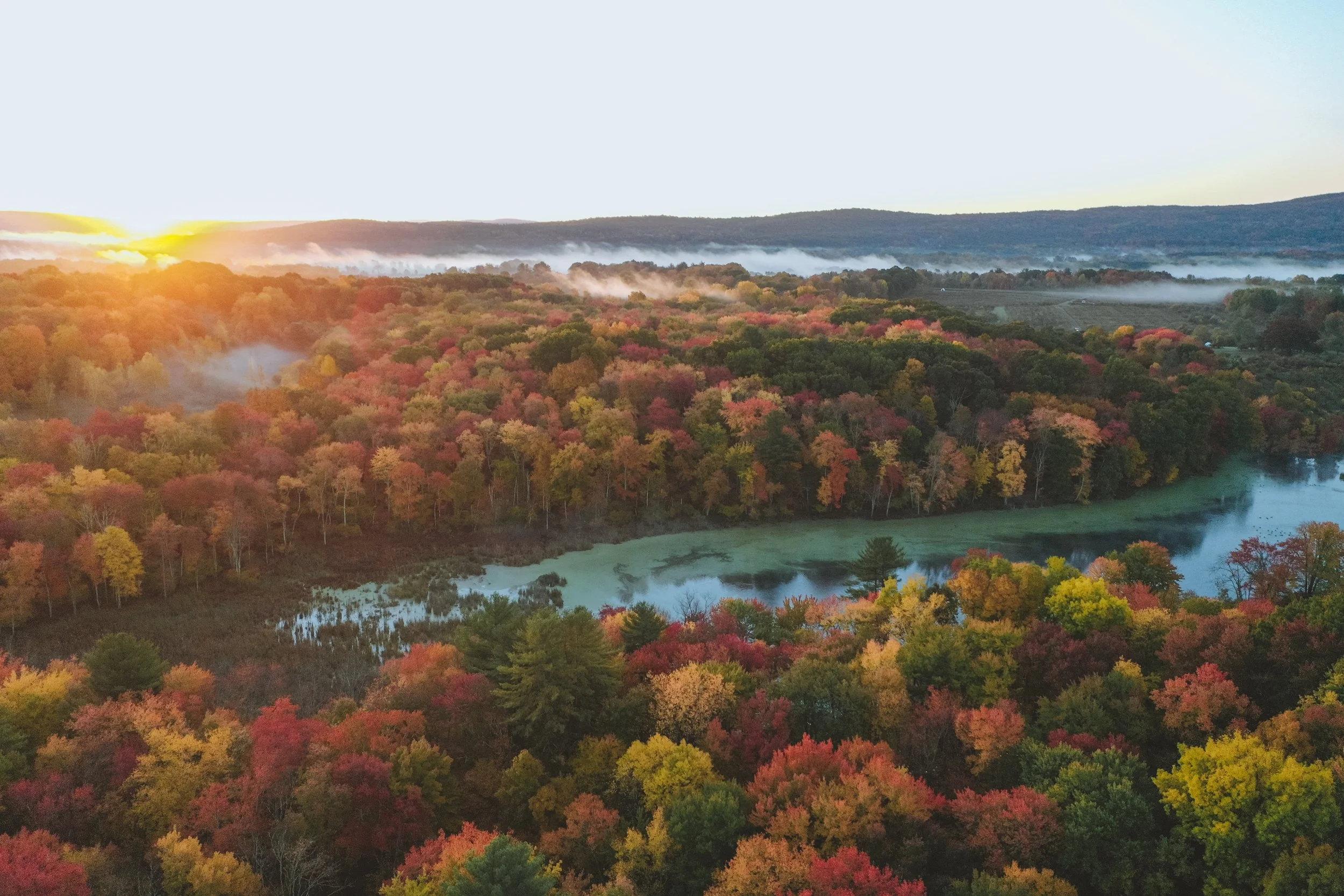 hh_fall_lake_drone-12.jpg